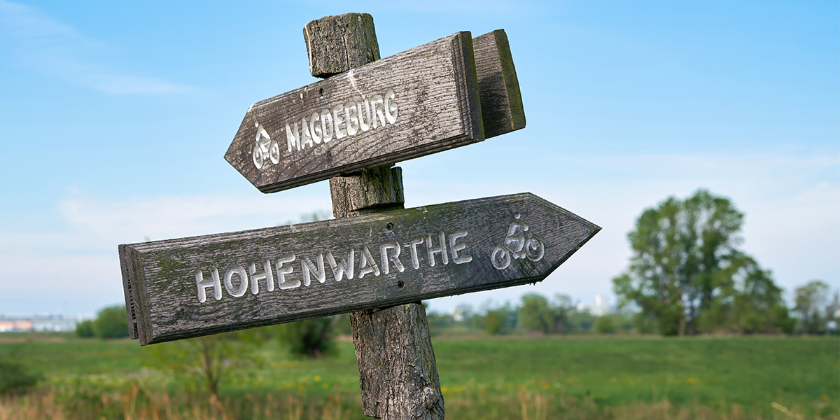 KI generiert: Das Bild zeigt zwei rustikale Wegweiser, die auf Magdeburg und Hohenwarthe hinweisen, beide mit Fahrradsymbolen. Im Hintergrund ist eine grüne Landschaft mit Bäumen zu sehen.